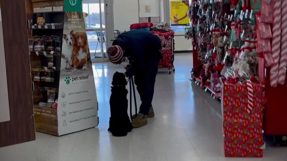 Distractions at Petsmart